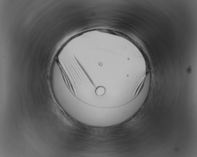 X0000115801051200912241849