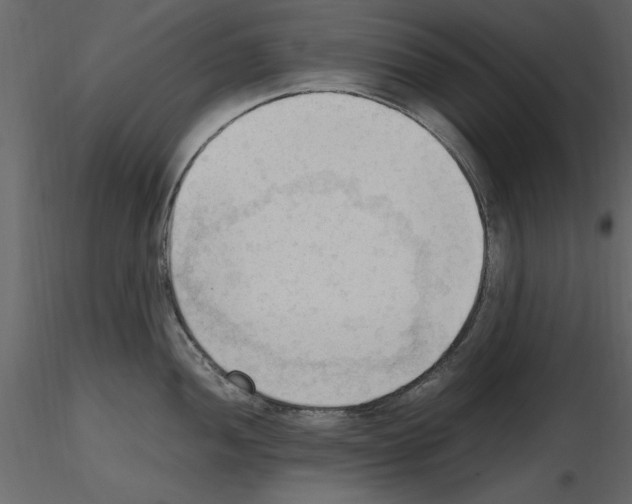 X0000115801052200912241849