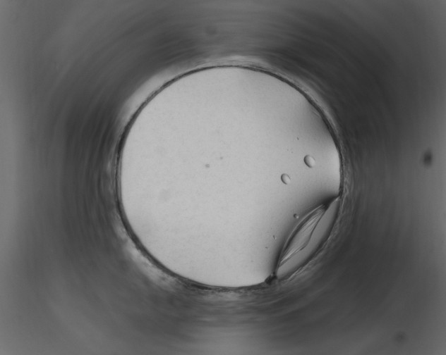 X0000115801054200912241849