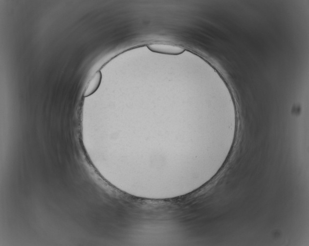 X0000115801056200912241849