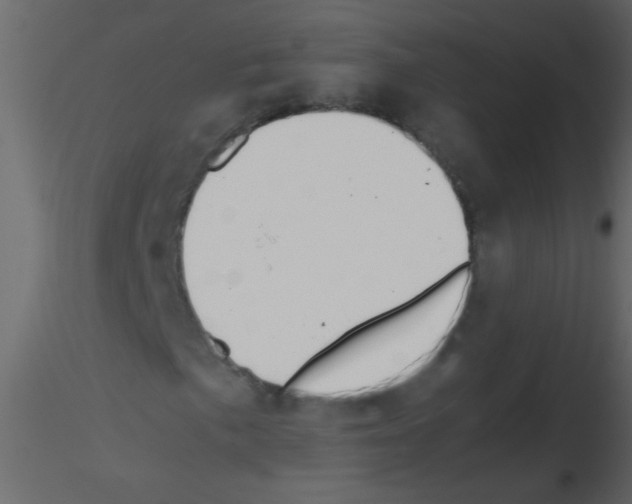 X0000115801057200912241848