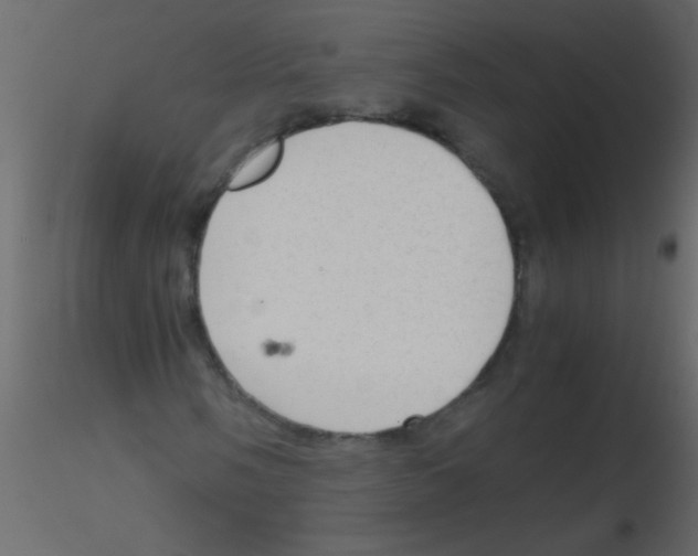 X0000115801058200912241848