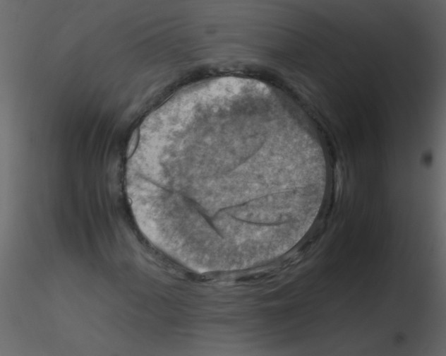 X0000115801060200912241848