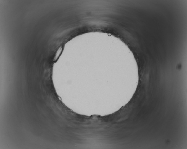 X0000115801061200912241848