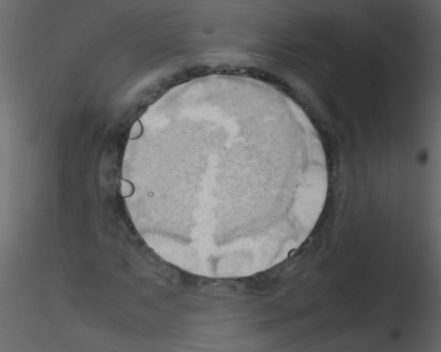 X0000115801063200912241848