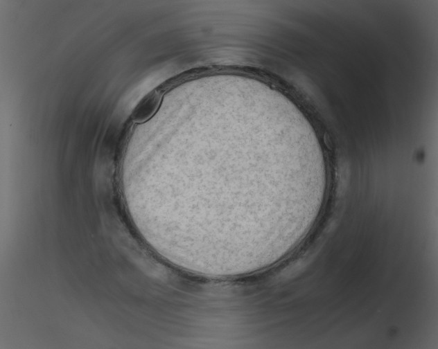 X0000115801065200912241848