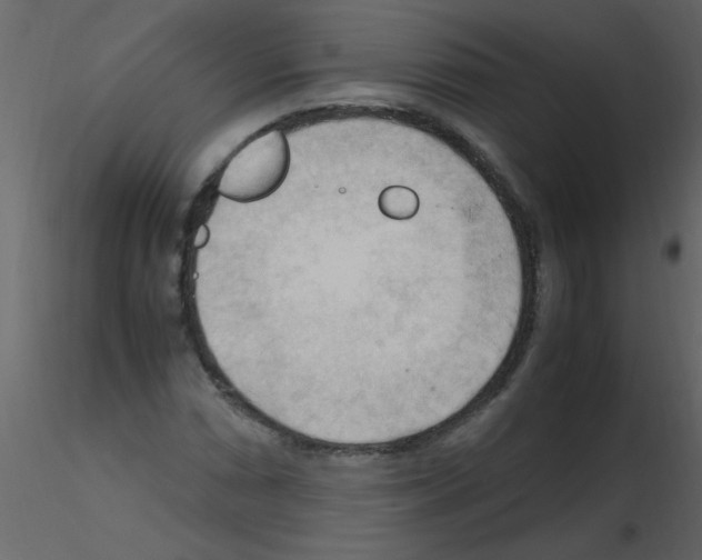 X0000115801066200912241848