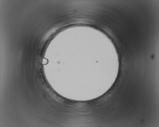 X0000115801067200912241848