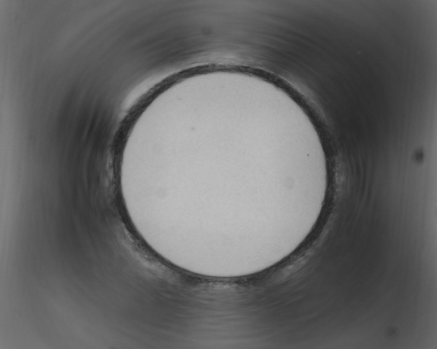 X0000115801070200912241848