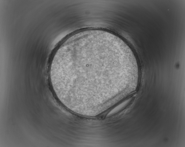 X0000115801071200912241848