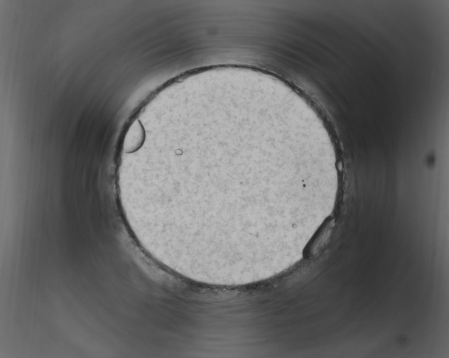 X0000115801072200912241848