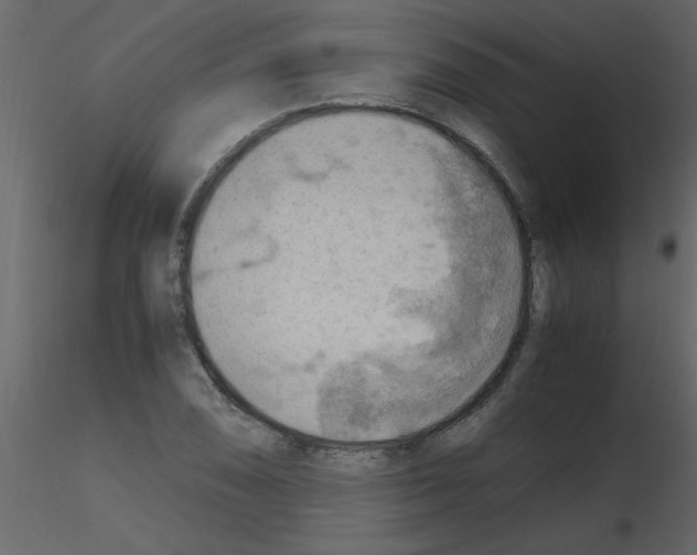 X0000115801074200912241848