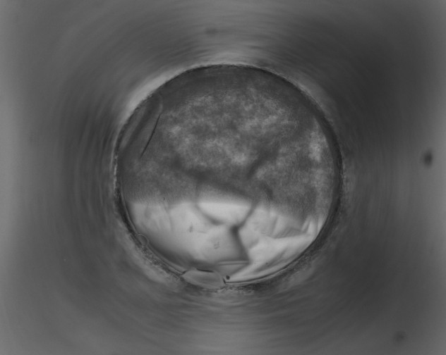 X0000115801077200912241848