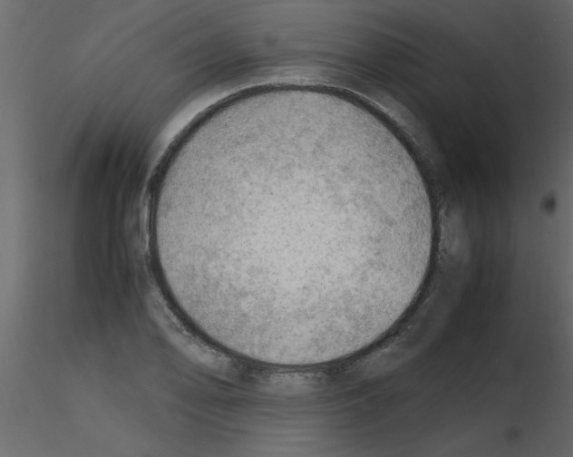 X0000115801078200912241848