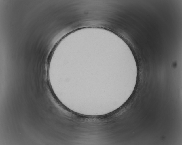 X0000115801079200912241848