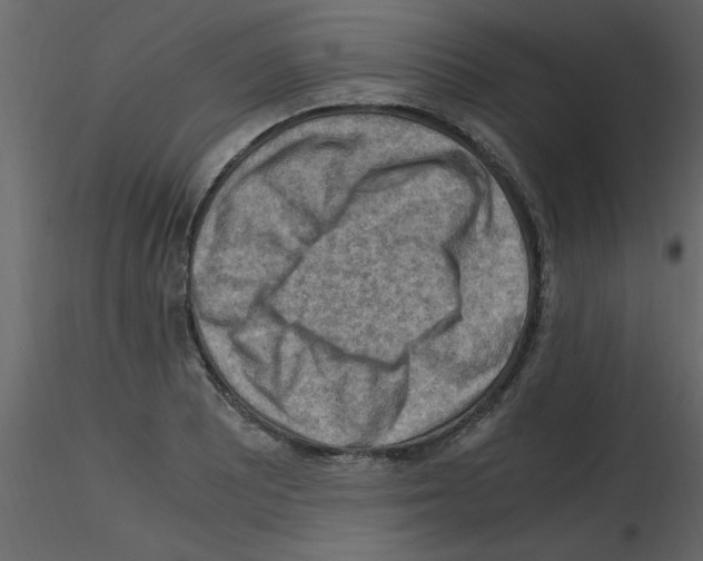 X0000115801081200912241848