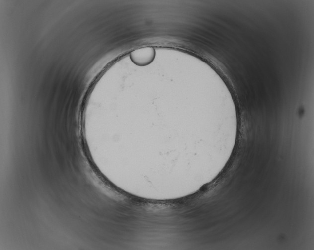 X0000115801082200912241848