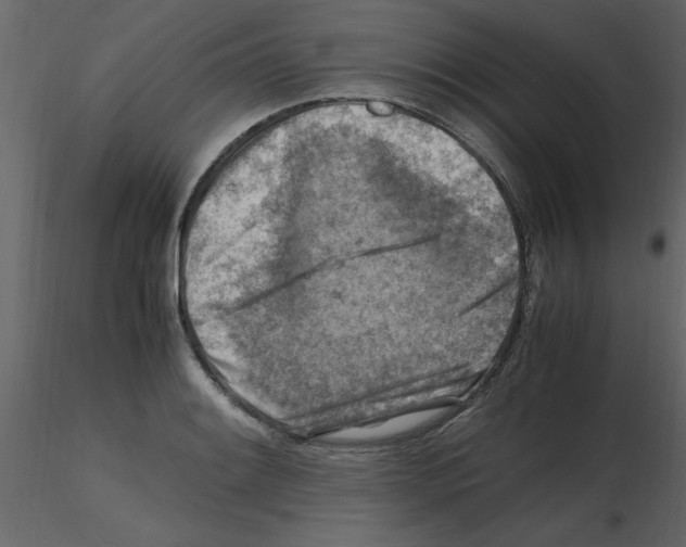 X0000115801084200912241848