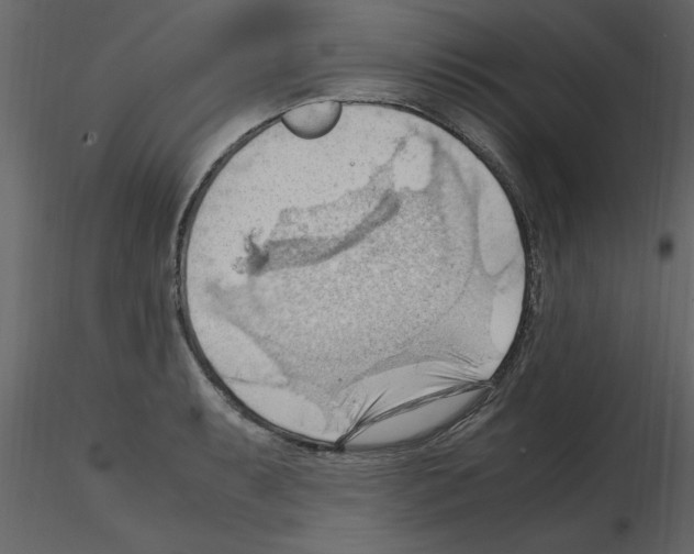 X0000115801087200912241848