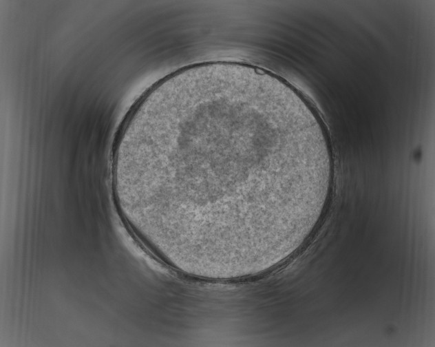 X0000115801088200912241848