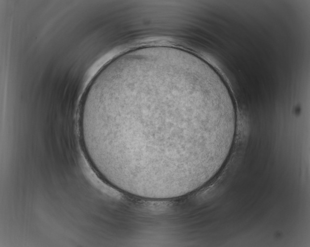 X0000115801090200912241848