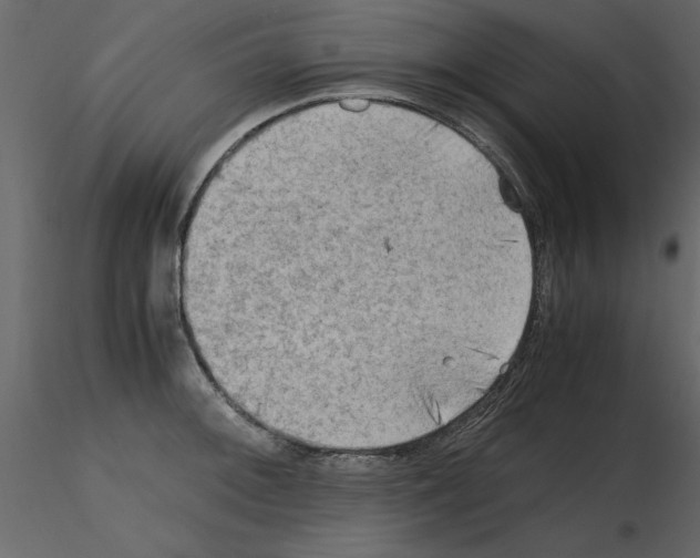 X0000115801092200912241848