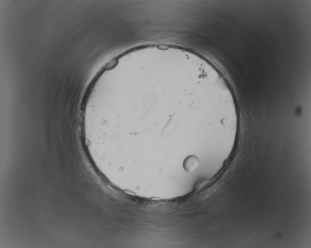 X0000115801093200912241848