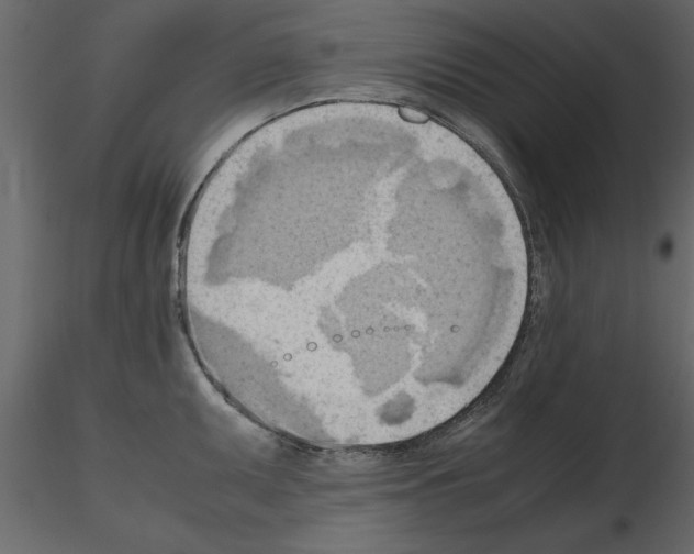 X0000115801095200912241848