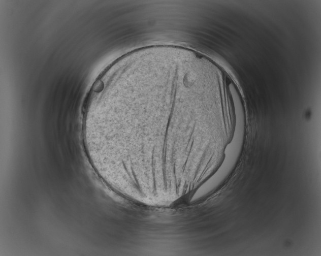 X0000115801096200912241848