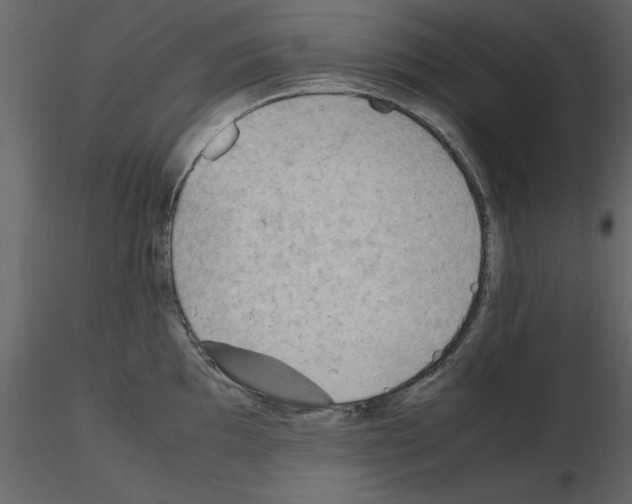 X0000115801097200912241848