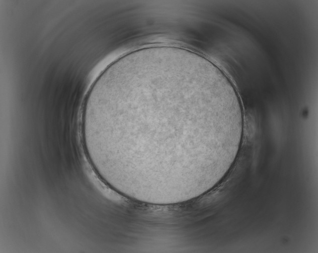 X0000115801098200912241848