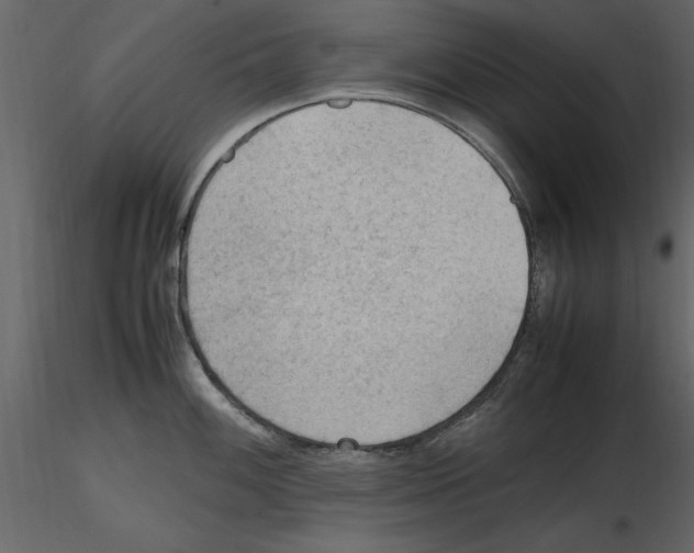 X0000115801100200912241848