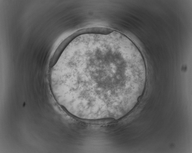 X0000115801104200912241848