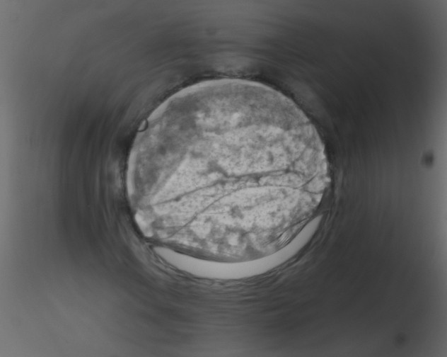 X0000115801106200912241847