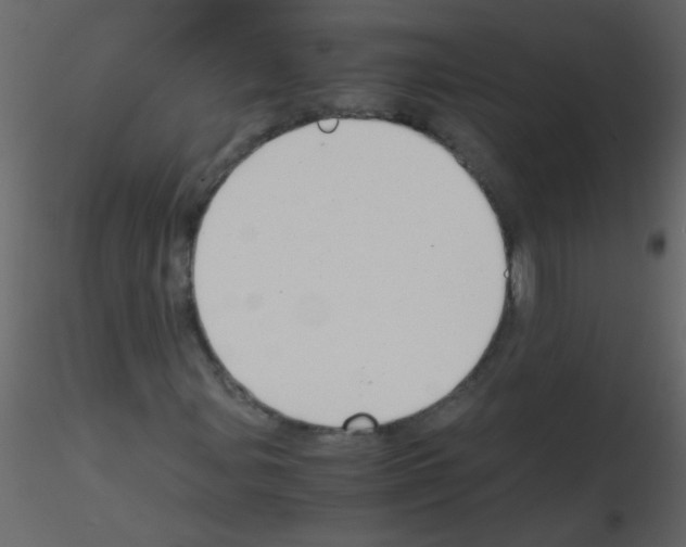 X0000115801107200912241847