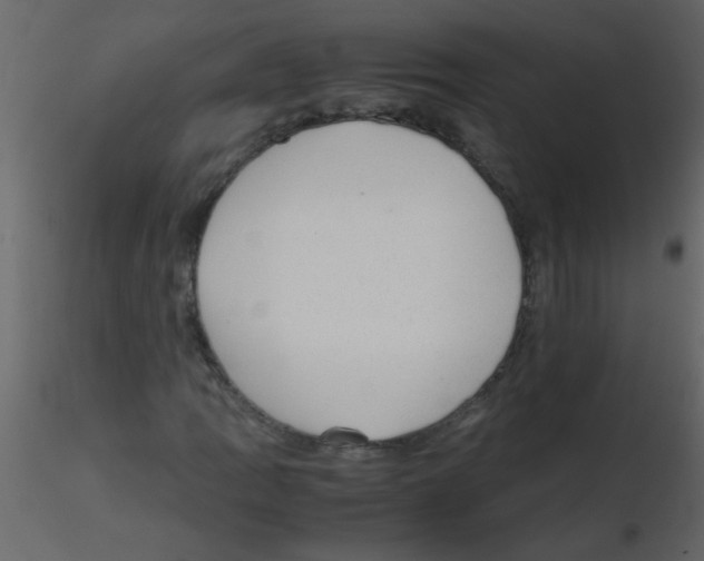 X0000115801109200912241847