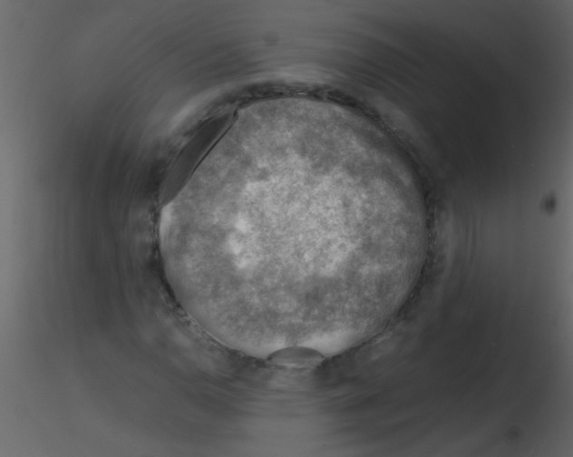 X0000115801110200912241847