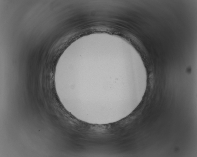 X0000115801111200912241847