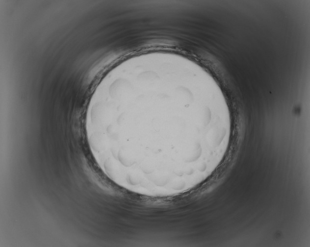 X0000115801113200912241847