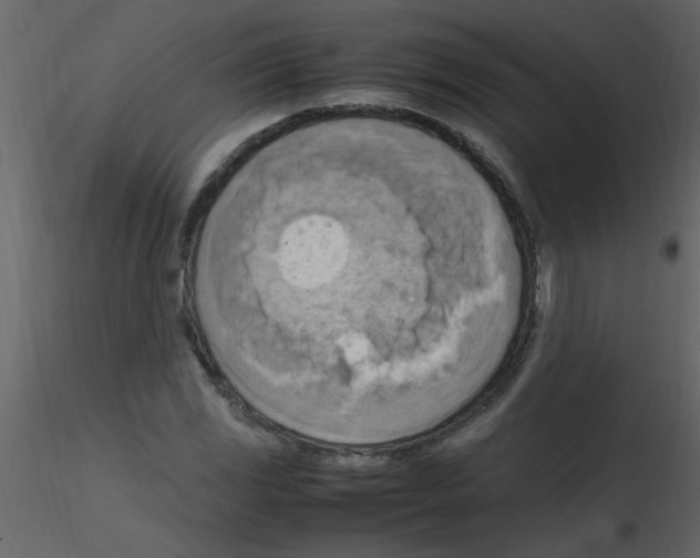 X0000115801117200912241847