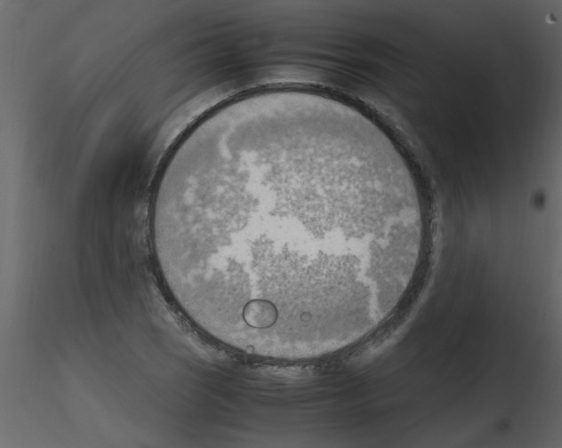 X0000115801121200912241847