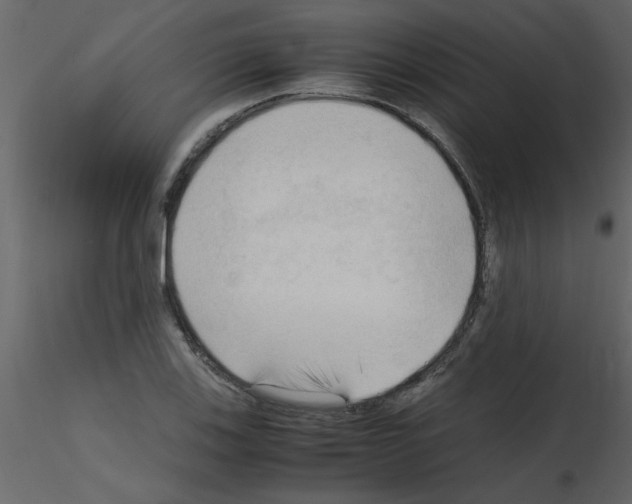 X0000115801123200912241847