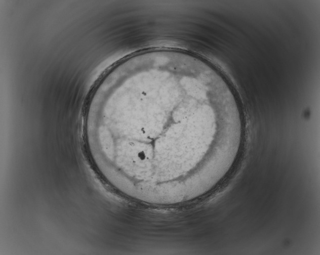 X0000115801125200912241847