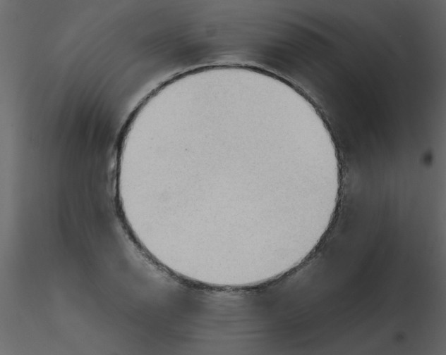 X0000115801126200912241847