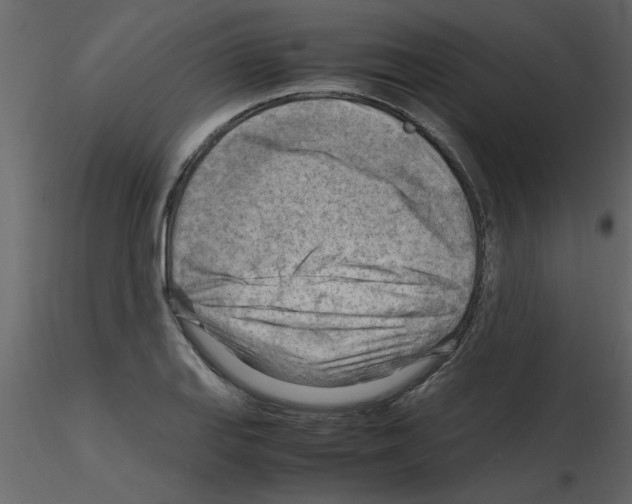 X0000115801127200912241847