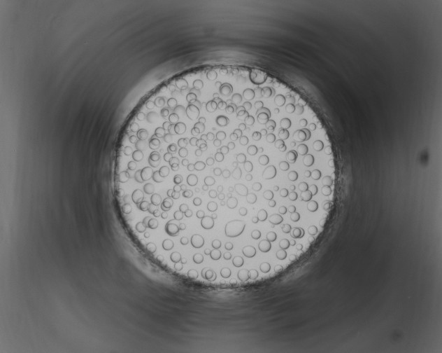 X0000115801130200912241847