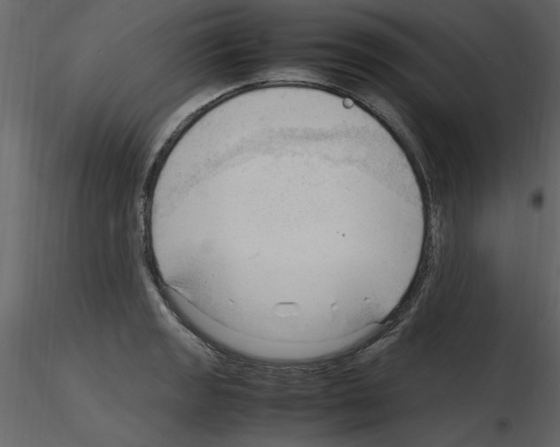 X0000115801133200912241847