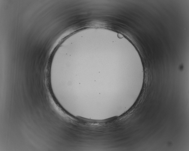 X0000115801139200912241847