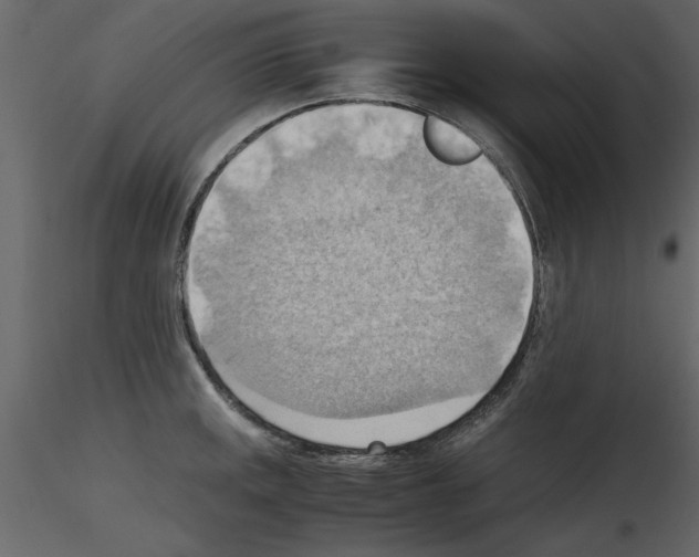 X0000115801141200912241847