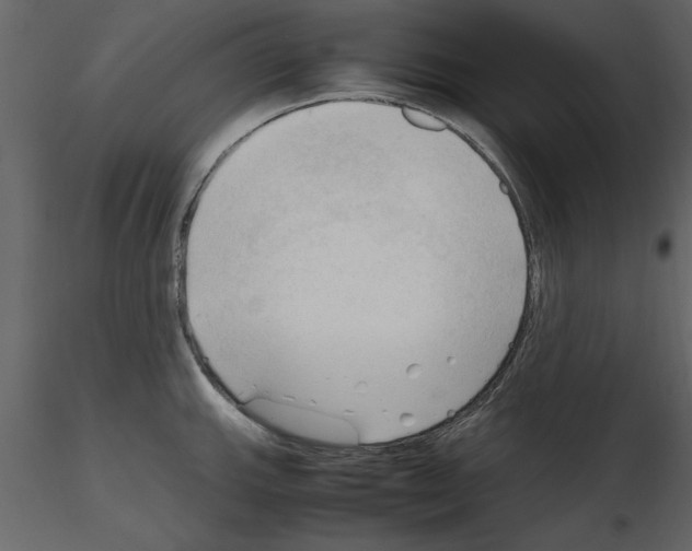 X0000115801143200912241847